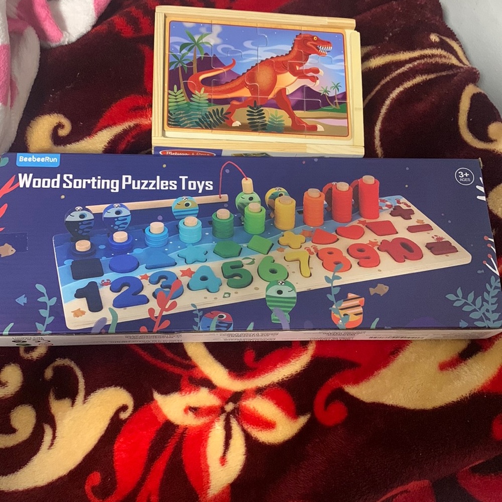 Wood sorting puzzle toys and wooden jigsaw puzzle in a box (sold together)